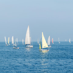 Fototapeta premium Group of sailboats in the sea