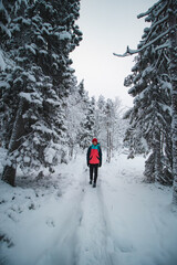 Young explorer in a colorful jacket stands in a frosty white environment in Sotkamo, Finland. Active lifestyle. Walking in wild nature. Discovering Scandinavia during winter