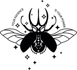 Celestial beetle 