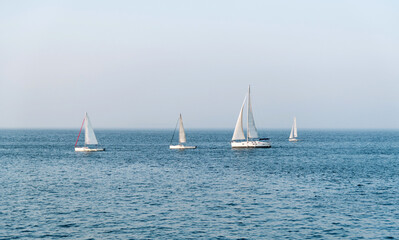 Group of sailboats in the sea