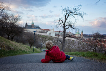Obraz premium Happy child, toddler boy, visiting spring park in Prague, walking at sunset