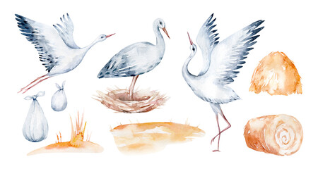 Watercolor stork bird and wildflowers with poppy, cornflower chamomile, rye and wheat spikelets . Wedding and baby shower invitation