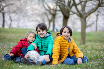 Fototapeta premium Happy children, siblings, boys, visiting Prague springtime in the evening, walking in park with pet dog