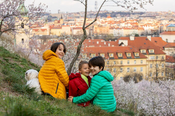Happy children, siblings, boys, visiting Prague springtime in the evening, walking in park with pet dog