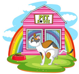 A cat outside the cat house