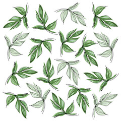 Combined background of branches with leaves. Linear style and watercolor style. Images for the design of postcards, posters and other printed products.