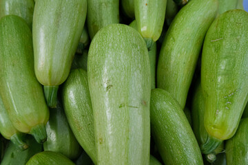 fresh green organic zucchini row from local market. healthy green vegetables background. food import and export crisis concept