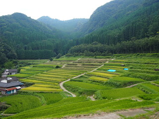田園風景