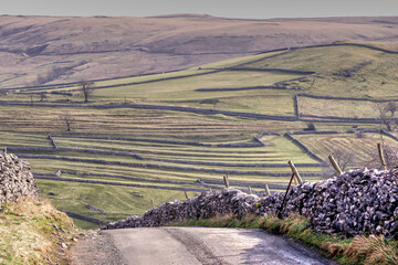 Drystone walls and fields in the yorkshire dales
