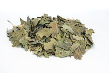 Green Dried Neem- Azadirachta indica Leaves Over isolated White