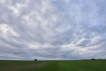 Dramatische Wolken &uuml;ber Feldern mit aufkeimendem Mais