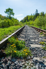 Railway line in countryside on sunny day. Train journey