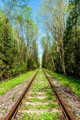 Fototapeta premium Railway line in countryside on sunny day. Train journey