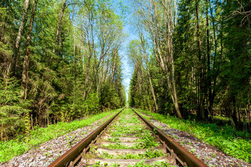 Obraz premium Railway line in countryside on sunny day. Train journey