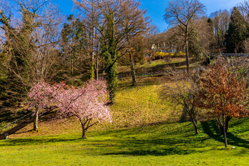 Obraz premium Spaziergang durch die Altstadt von Freiburg im Breisgau - Baden-Württemberg - Deutschland