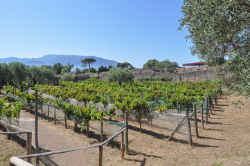 Pompeii archeological site in Pompeii