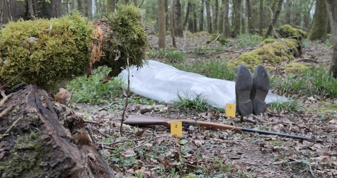 d&eacute;couverte d'un corps dans une for&ecirc;t 
