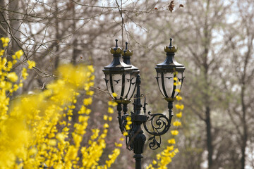 Fototapeta na wymiar street lamp in the city