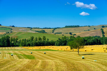 Rural landscape along the Cassia near Acquapendente, Lazio - obrazy, fototapety, plakaty