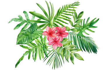 Pink frangipani, tropical leaves. Watercolor isolated palm leaf on white background. Wild forest. 