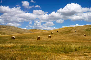 Rural landscape along the Cassia near Radicofani, Tuscany