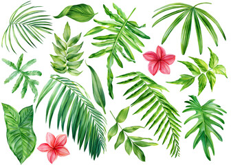 Collection of tropical leaves. Watercolor isolated elements for wedding, wallpaper, fashion, wrapper, postcard