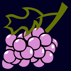 Small bunch of blue grapes with green leaf