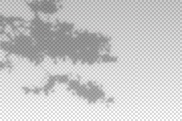 Shadow from the window. Reflected from sun light for effect overlay. Reflecting tree shades on the wall isolated on transparent background. Reflection sunlight for design summer mockup. Vecto