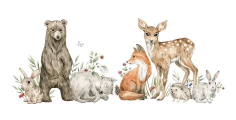  Watercolor forest baby animals. Bear, wolf, fox, deer, rabbit, flowers, berries. Summer woodland, nature scene, valley. Wildlife creatures © Kate K.
