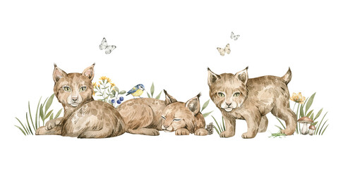 Watercolor forest baby animals. Cute lynx, flowers, wild cats. Summer woodland, nature scene, valley. Wildlife creatures © Kate K.
