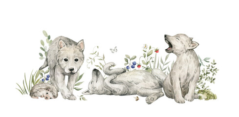 Watercolor forest baby animals. Cute wolfs, flowers, berries. Summer woodland, nature scene, valley. Wildlife creatures