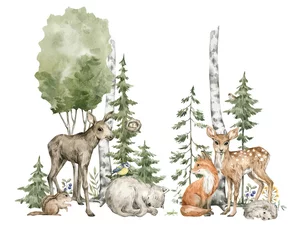  Watercolor composition with forest animals and natural elements. Deer, fox, wolf, moose, green trees, pine, fir, flowers. Woodland creatures in the wild. Illustration for nursery, wallpaper © Kate K.