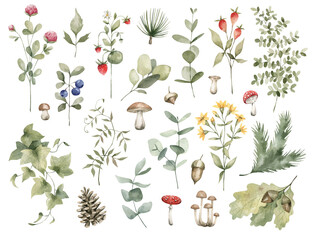 Watercolor set of bright forest leaves and flowers, branches. Clover, berries, mushrooms, flowers, cones, ivy, spruce, fly agaric, blueberries. Summer botany, natural elements. Bright medow wildflower - obrazy, fototapety, plakaty