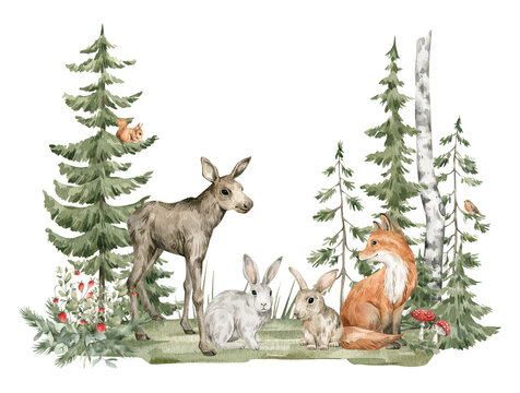 Watercolor composition with forest animals and natural elements. Moose, fox, rabbit, green trees, pine, fir, flowers. Woodland creatures in the wild. Illustration for nursery, wallpaper