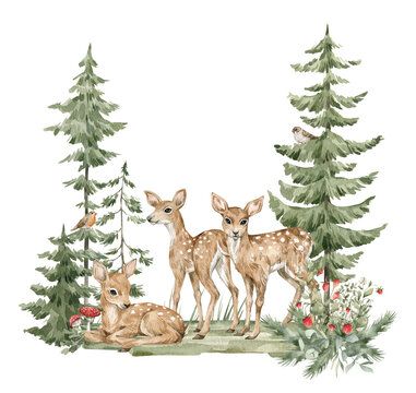 Watercolor composition with forest animals and natural elements. Babr deers, green trees, pine, fir, flowers. Woodland creatures in the wild. Illustration for nursery, wallpaper