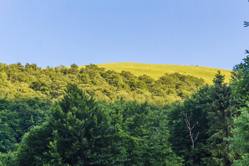 Fototapeta premium skyline in the mountains in summer..