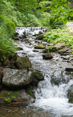 Fototapeta premium Mountain Creek