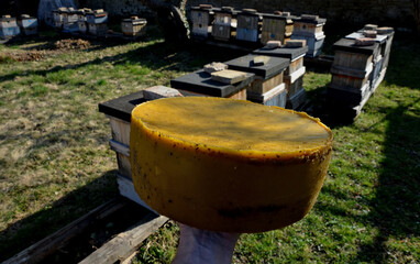 work of a beekeeping company melting old dark wax combs. In a stainless steel steam boiler. the wax...