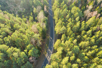 Asfaltowa droga w sosnowym lesie. Jest słoneczny dzień. Widok z drona. - 495900705