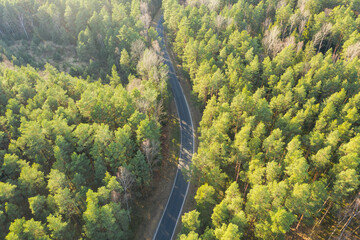 Asfaltowa droga w sosnowym lesie. Jest słoneczny dzień. Widok z drona. - 495900709
