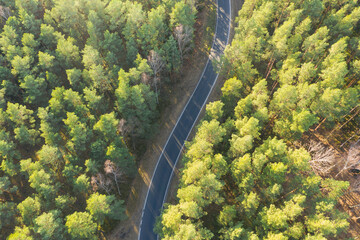 Asfaltowa droga w sosnowym lesie. Jest słoneczny dzień. Widok z drona.