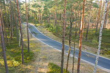 Asfaltowa droga w sosnowym lesie. Jest słoneczny dzień. Widok z drona.