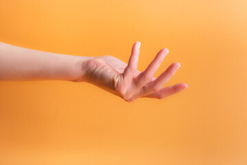 Woman's hand on an orange background, palm up