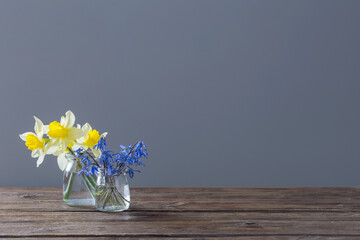 yellow narcissus  and blue snowdrops in vase on wooden table on dark background