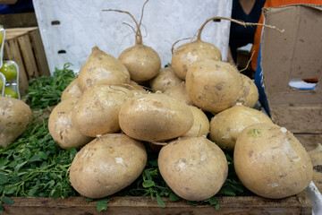Fresh Mexican turnip (Yamboon or Jícama) on display at a market in Mexico