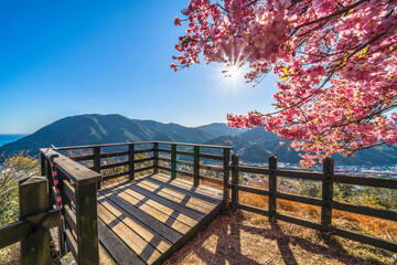 河津城跡公園の展望台【静岡県・賀茂郡・河津町】
Observation deck of Kawazu town famous for cherry blossoms - Shizuoka prefecture, Japan