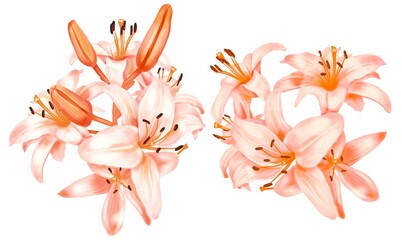 Fototapeta na wymiar Watercolor bouquet of orange lilies. Illustration of lily flowers