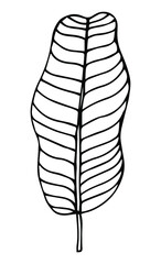 black and white, bali, beach, tropic, jungle, brazil, palm, illustrated, indonesia, polynesian, madagascar, plumeria, tropical, hawaii, drawing, wedding, silhouette, vintage, leaves, branch, print,