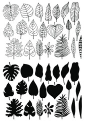 Tropical palm leave in sketch style, isolated vector illustration and silhouette. Leave of palm tree in linear doodle style. Botanical minimalist print of exotic leave, sketch design.