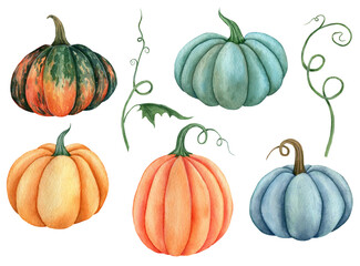 Watercolor pumpkin illustration isolated on the white background - obrazy, fototapety, plakaty